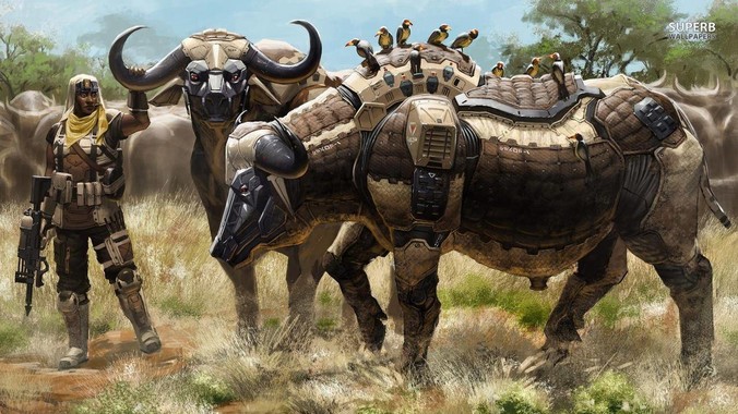 家里想搞一个服务器，怎么才不违规？